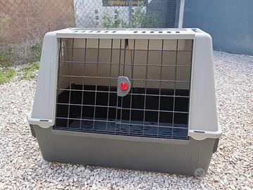 TRASPORTONE/KENNEL