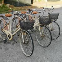 Biciclette per l'estate 