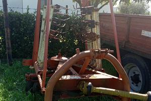 Ranghinatore  kuhn