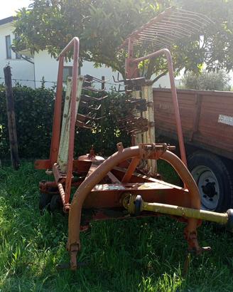 Ranghinatore  kuhn