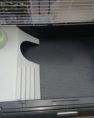 Gabbia coniglio 🐇