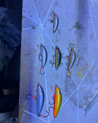 Minnow real winner