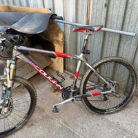 bicicletta lee cougan