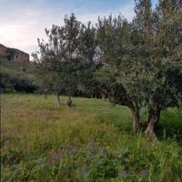 Terreno agricolo a Castellammare del Golfo