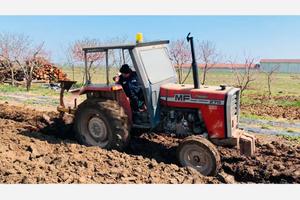 Trattore agricolo massey ferguson MF 275