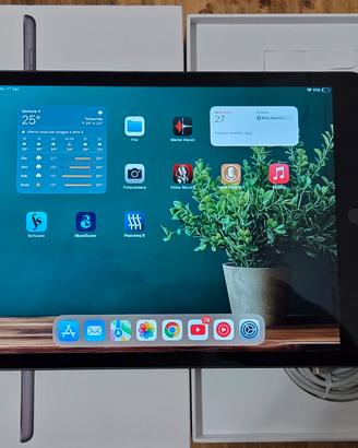 iPad 32Gb WiFi Space Gray