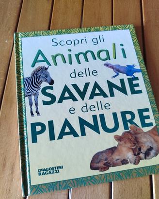 Libri per bambini 