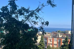 3 LOCALI A ALBISSOLA MARINA