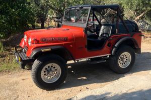 Jeep willys