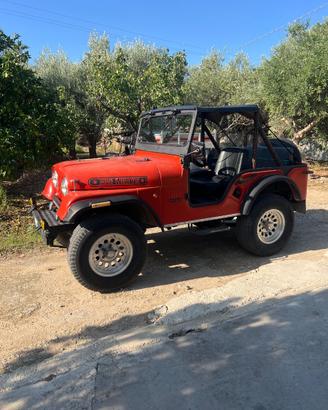 Jeep willys