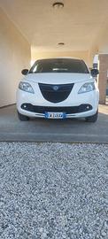 Lancia Ypsilon 1.3 MJT 95 cv 5 porte elefantino