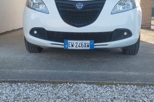 Lancia Ypsilon 1.3 MJT 95 cv 5 porte elefantino