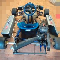 Go Kart Crg 100 Motore Rotax