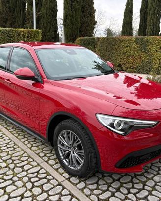 ALFA Stelvio Q4 2.2Mjt S&S Bus. 190Cv AT8 11-2021