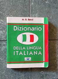 dizionario tascabile
