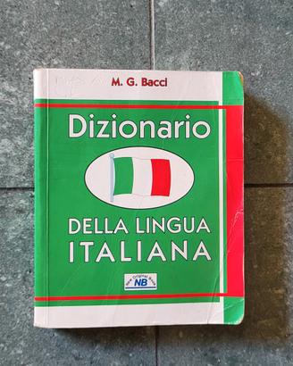 dizionario tascabile