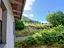 Immagine 19