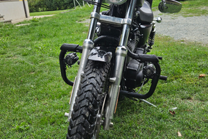 Sportster 1200 roadster 2006