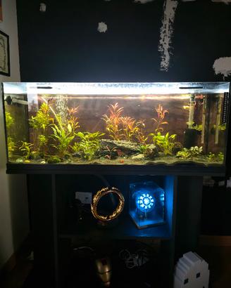 Acquario 100lt- pronto all'uso- completo di tutto