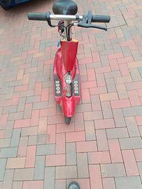 Scooter elettrico