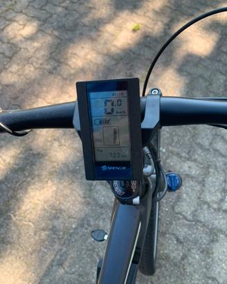 Bicicletta pedalata assistita