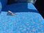 Immagine 9