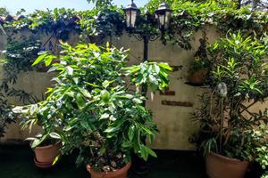 Trilocale totalmente arredato