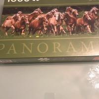 Puzzle Jumbo 1000 pezzi