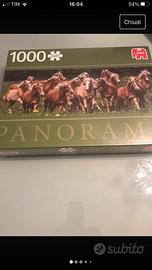 Puzzle Jumbo 1000 pezzi