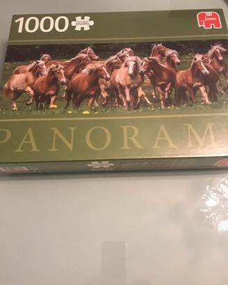 Puzzle Jumbo 1000 pezzi