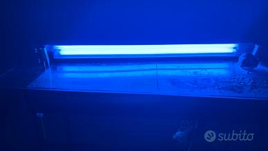 lampada acquario marino 85 cm