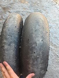 gomme slick