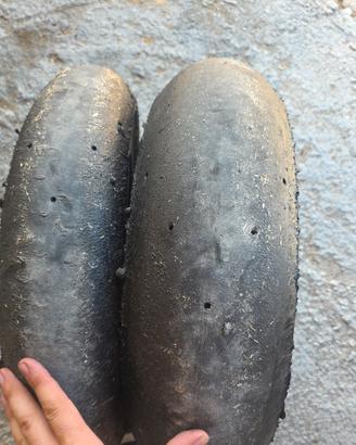 gomme slick