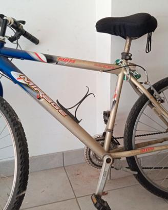 Mountain bike
