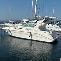 Sea Ray Sundancer 290 anche permuta