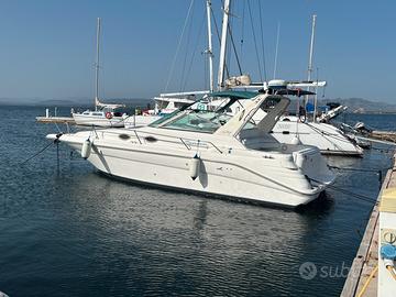 Sea Ray Sundancer 290 anche permuta