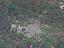 Immagine 12