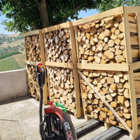 Traspallet elettrico