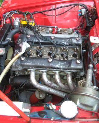 alfa romeo giulia gt 64