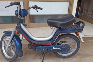 Piaggio boss