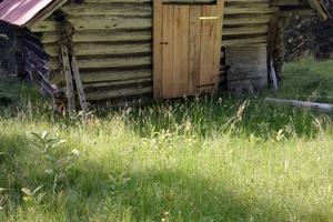 Stavolo da ristrutturare con prato e bosco