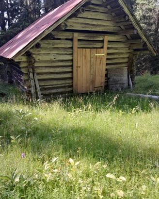 Stavolo da ristrutturare con prato e bosco