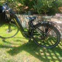 bicicletta unisex 