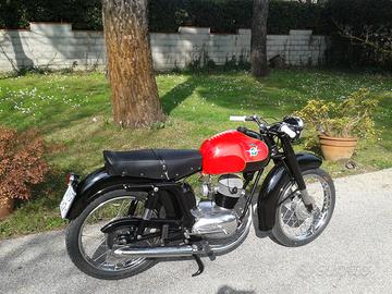 MV Agusta Altro modello - 1956