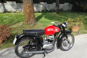 MV Agusta Altro modello - 1956