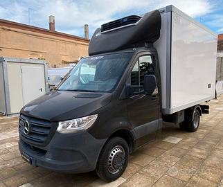 Mercedes Sprinter Cassa Frigo