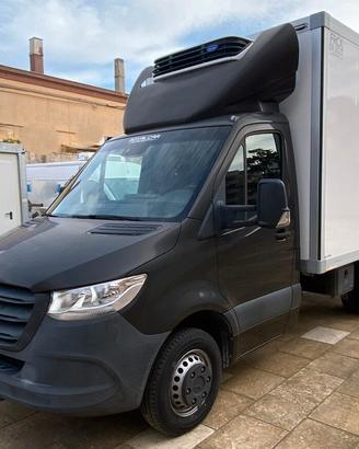 Mercedes Sprinter Cassa Frigo