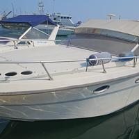 Fiart thunder  28