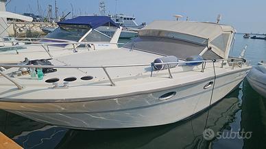 Fiart thunder  28