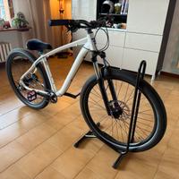 Bicicletta willie bike